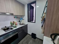 Botanique At Bartley (D19), Condominium #496911811